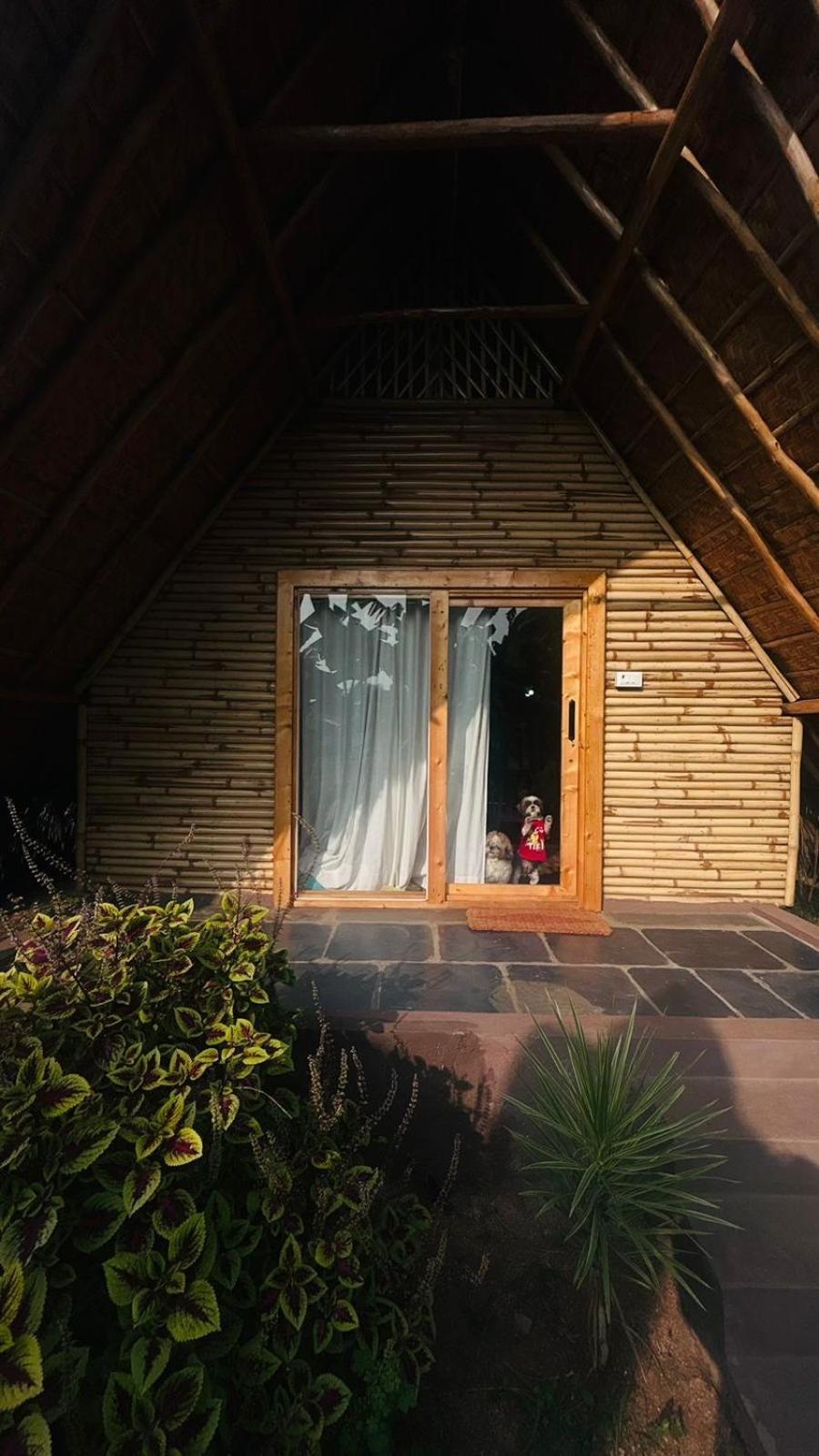 Tropical Hampi Hotel Bagian luar foto